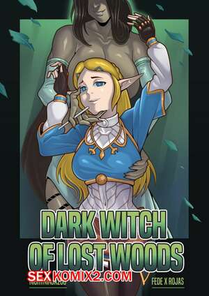 Порно комикс Legend Zelda. Темная ведьма затерянного леса. Dark Witch of Lost Woods. FedeXRojas.